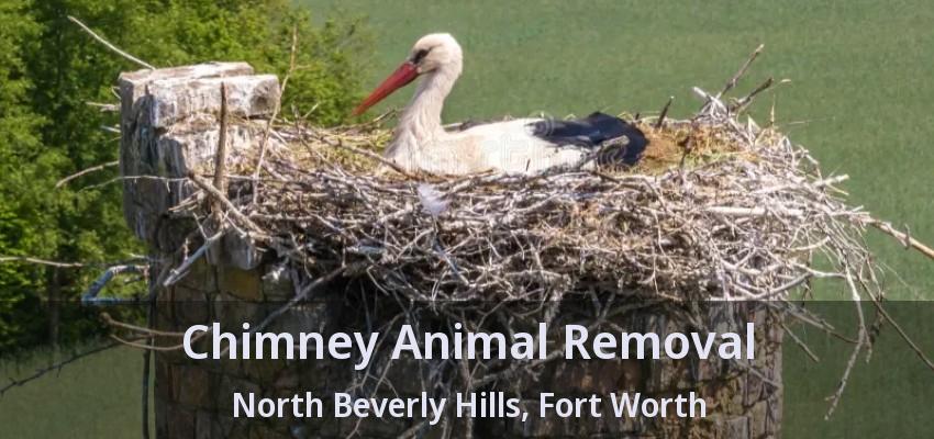 Chimney Animal Removal North Beverly Hills, Fort Worth - TX