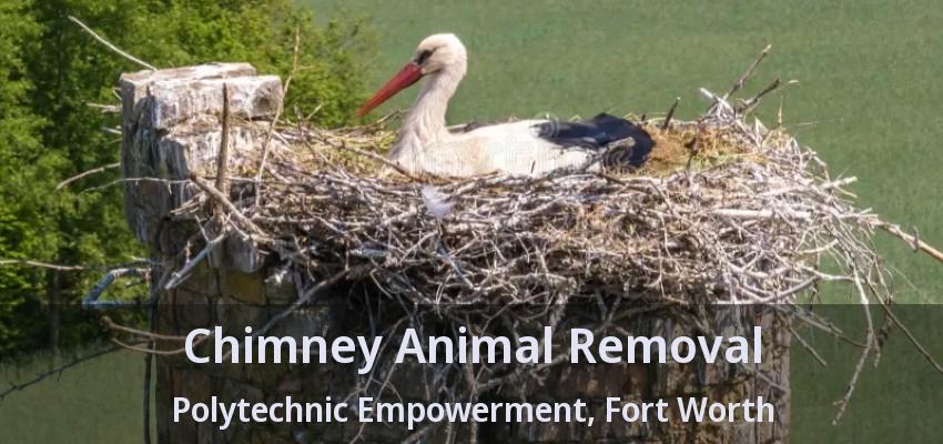 Chimney Animal Removal Polytechnic Empowerment, Fort Worth - TX