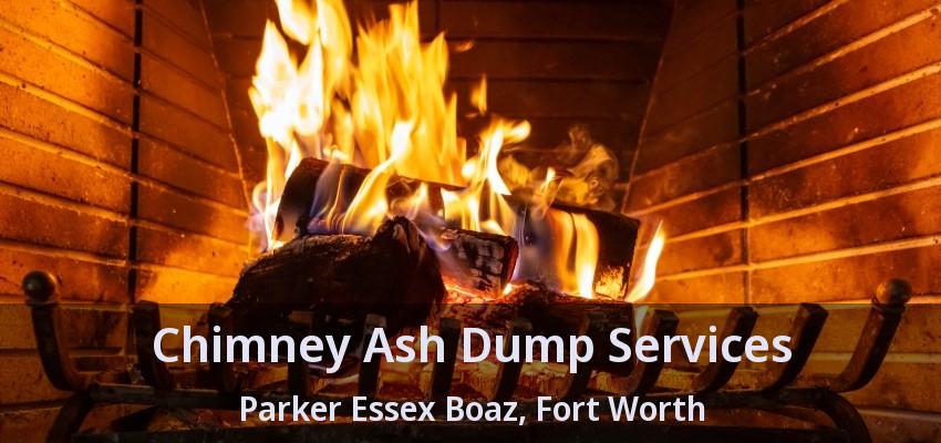 Chimney Ash Dump Services Parker Essex Boaz, Fort Worth - TX