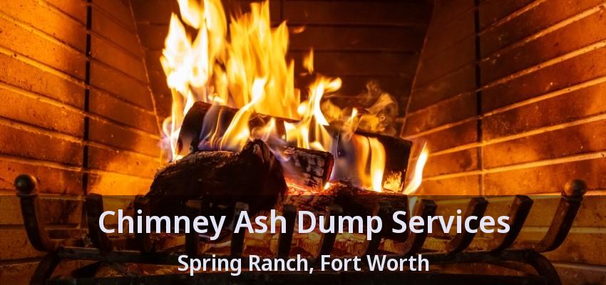 Chimney Ash Dump Services Spring Ranch, Fort Worth - TX