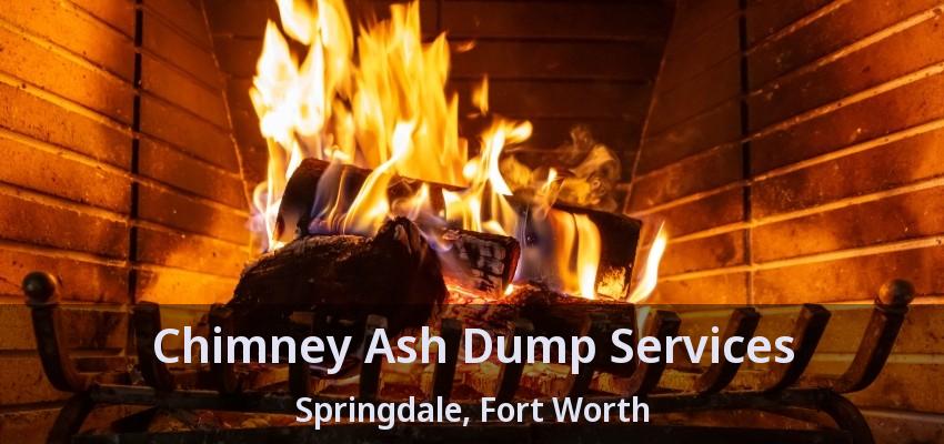 Chimney Ash Dump Services Springdale, Fort Worth - TX
