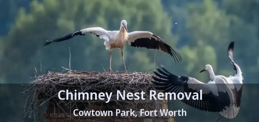 Chimney Nest Removal Cowtown Park, Fort Worth - TX