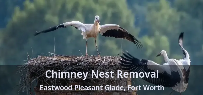Chimney Nest Removal Eastwood Pleasant Glade, Fort Worth - TX