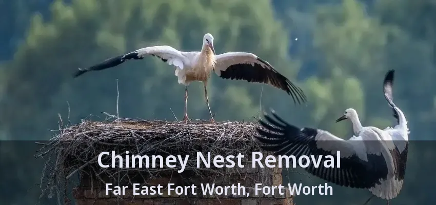 Chimney Nest Removal Far East Fort Worth, Fort Worth - TX