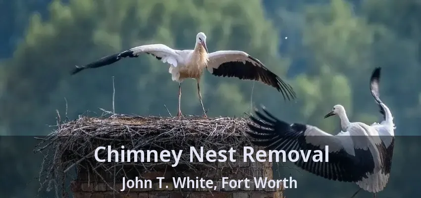 Chimney Nest Removal John T. White, Fort Worth - TX