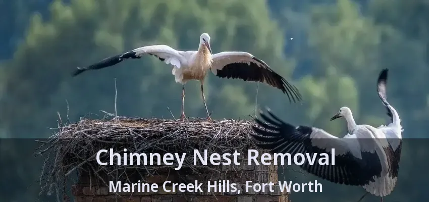 Chimney Nest Removal Marine Creek Hills, Fort Worth - TX