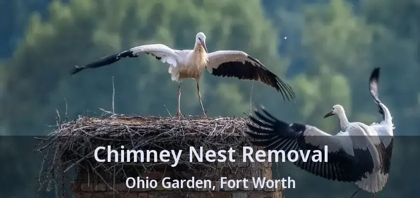 Chimney Nest Removal Ohio Garden, Fort Worth - TX