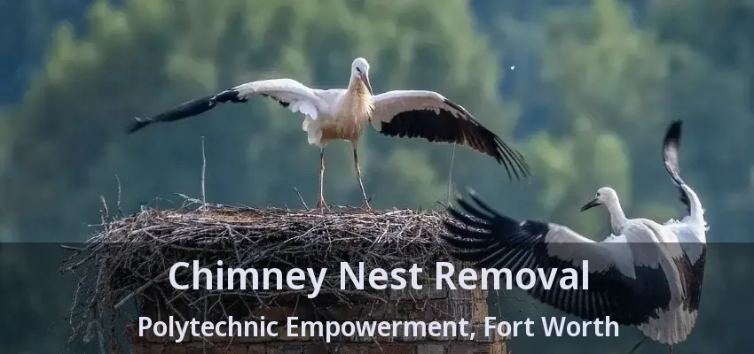 Chimney Nest Removal Polytechnic Empowerment, Fort Worth - TX Chimney Nest Removal Polytechnic Empowerment, Fort Worth - TX