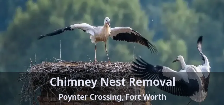 Chimney Nest Removal Poynter Crossing, Fort Worth - TX
