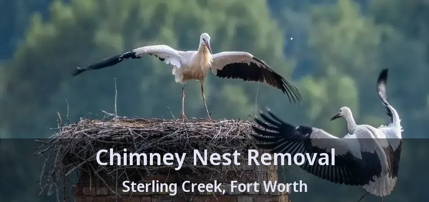 Chimney Nest Removal Sterling Creek, Fort Worth - TX