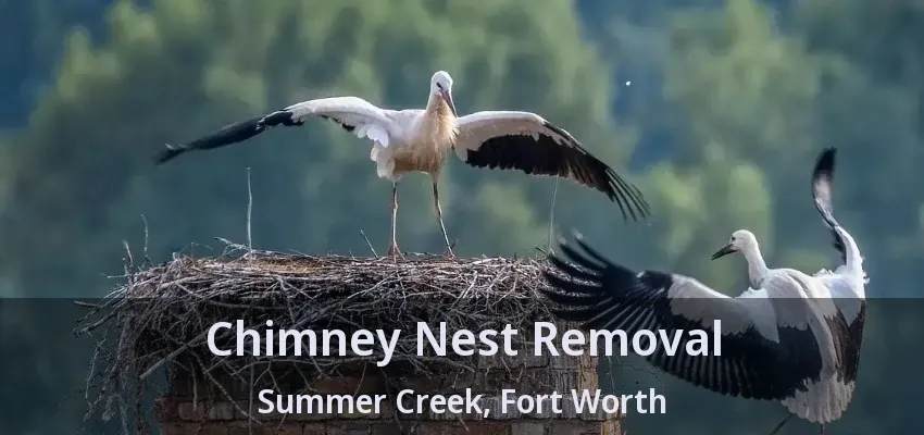 Chimney Nest Removal Summer Creek, Fort Worth - TX