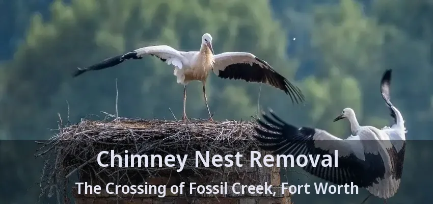 Chimney Nest Removal The Crossing of Fossil Creek, Fort Worth - TX