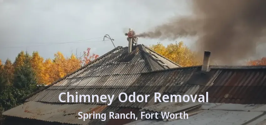 Chimney Odor Removal Spring Ranch, Fort Worth - TX