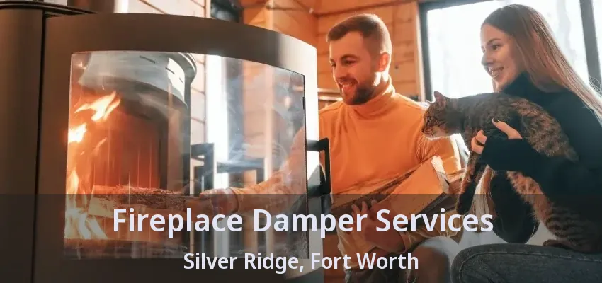 Fireplace Damper Services Silver Ridge, Fort Worth - TX