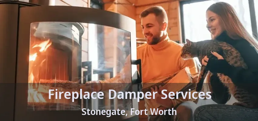 Fireplace Damper Services Stonegate, Fort Worth - TX