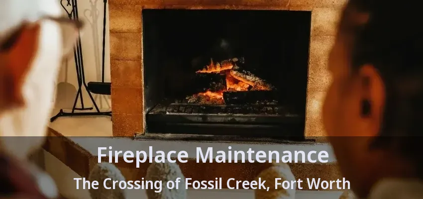 Fireplace Maintenance The Crossing of Fossil Creek, Fort Worth - TX