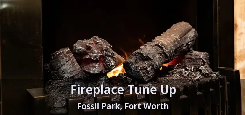 Fireplace Tune Up Fossil Park, Fort Worth - TX