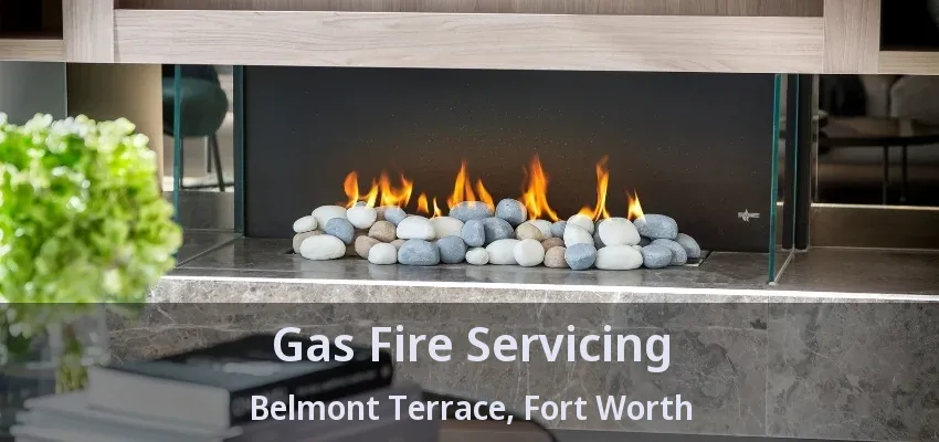 Gas Fire Servicing Belmont Terrace, Fort Worth - TX