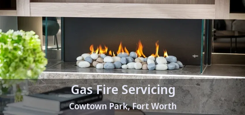 Gas Fire Servicing Cowtown Park, Fort Worth - TX