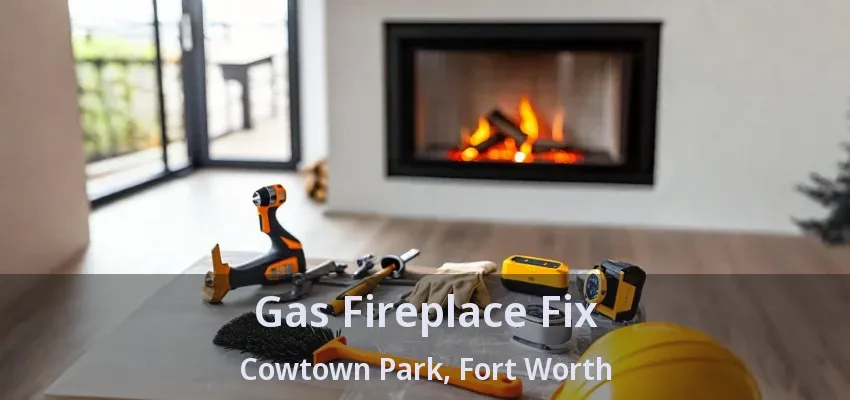 Gas Fireplace Fix Cowtown Park, Fort Worth - TX