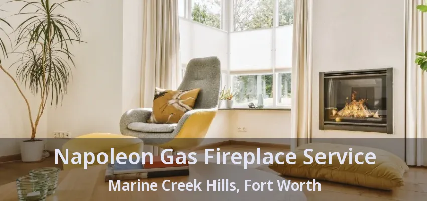 Napoleon Gas Fireplace Service Marine Creek Hills, Fort Worth - TX