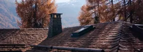 Chimney Animal Removal Fort Worth