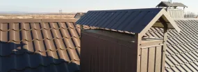 Chimney Cap Services Fort Worth