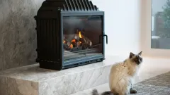Wood Burning Fireplace Repair Fort Worth
